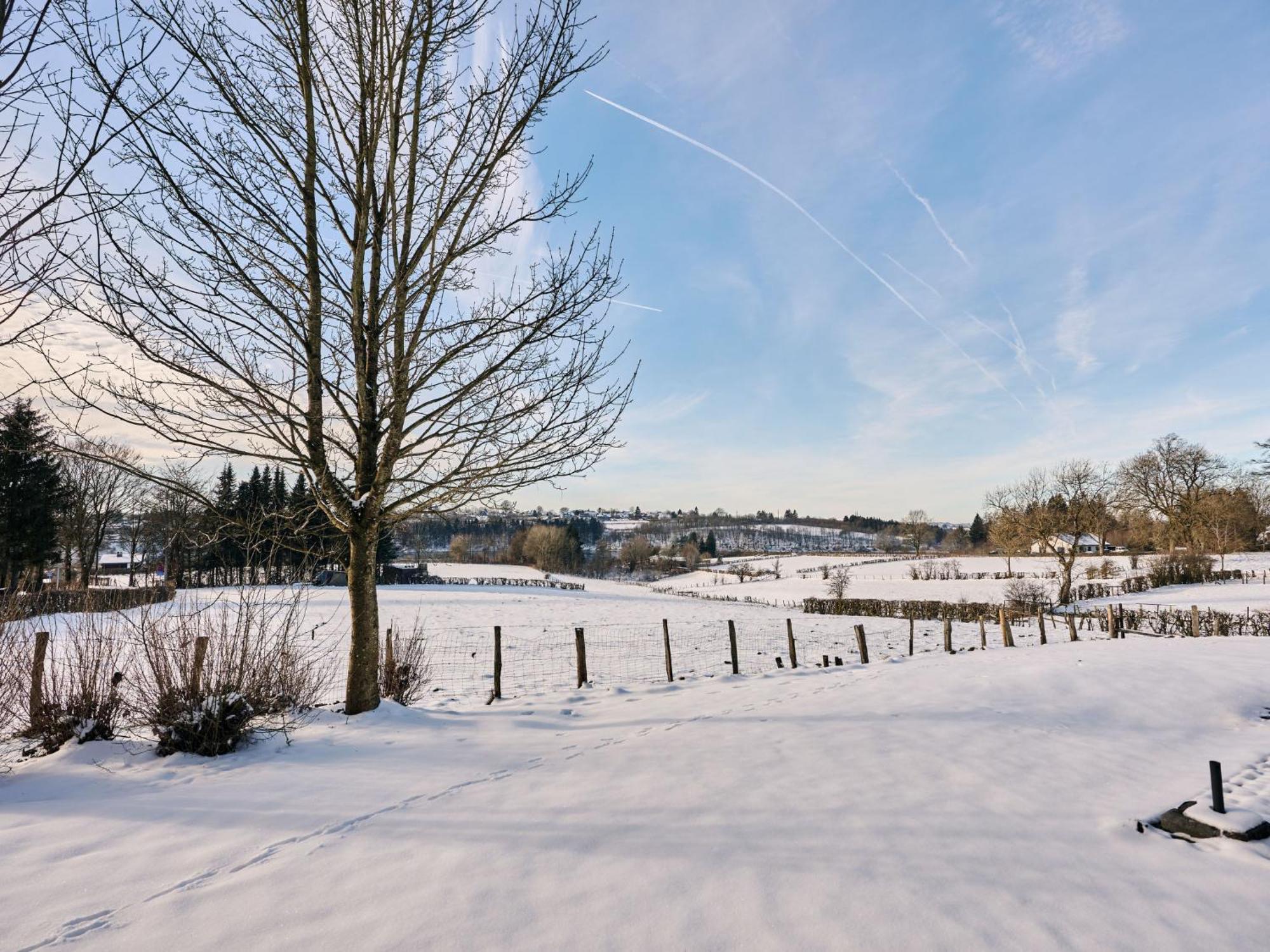 Holiday Home Au Bord Du Lac 2 By Interhome Butgenbach Buitenkant foto